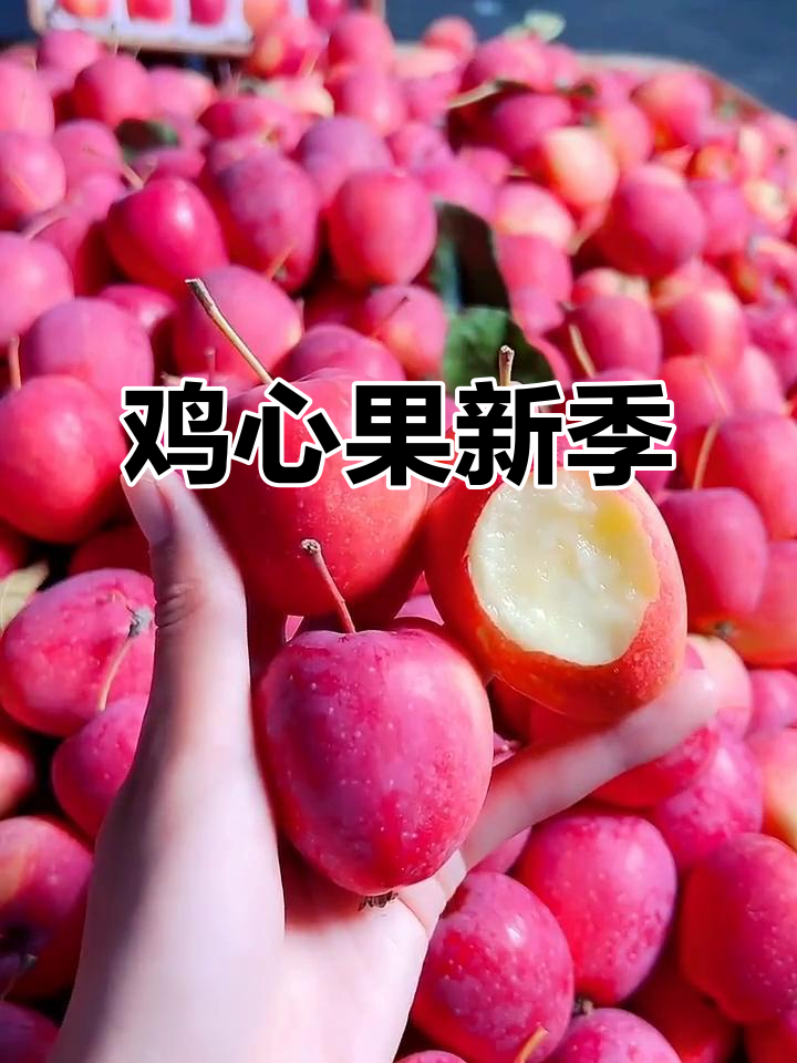 东北鸡心果,酸甜可口,新鲜上市!