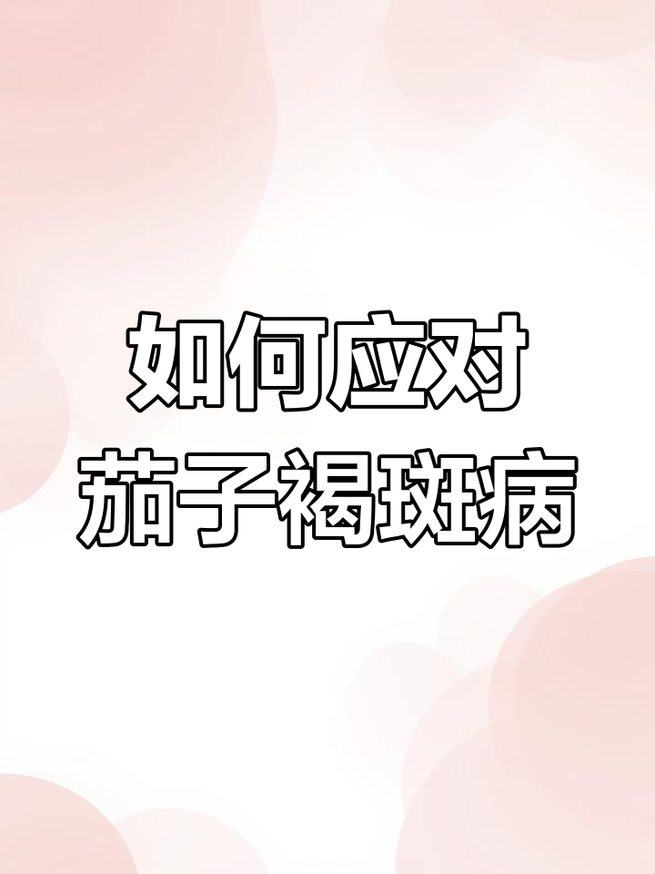 茄子褐斑病防治技巧,轻松搞定!