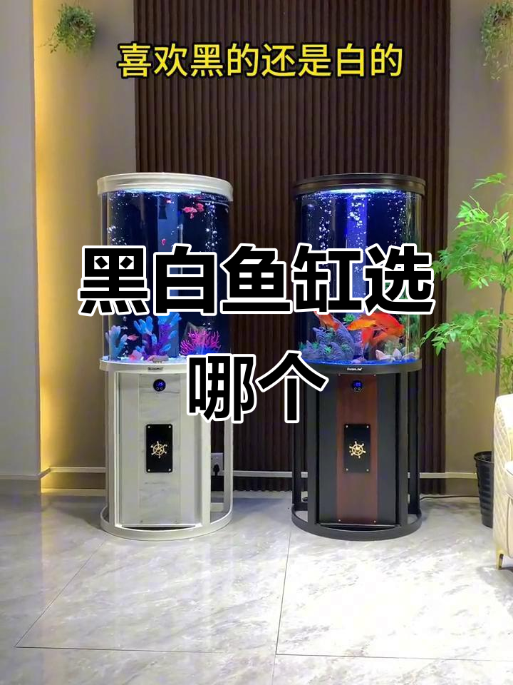 白鱼缸与黑鱼缸,哪种更适合你?