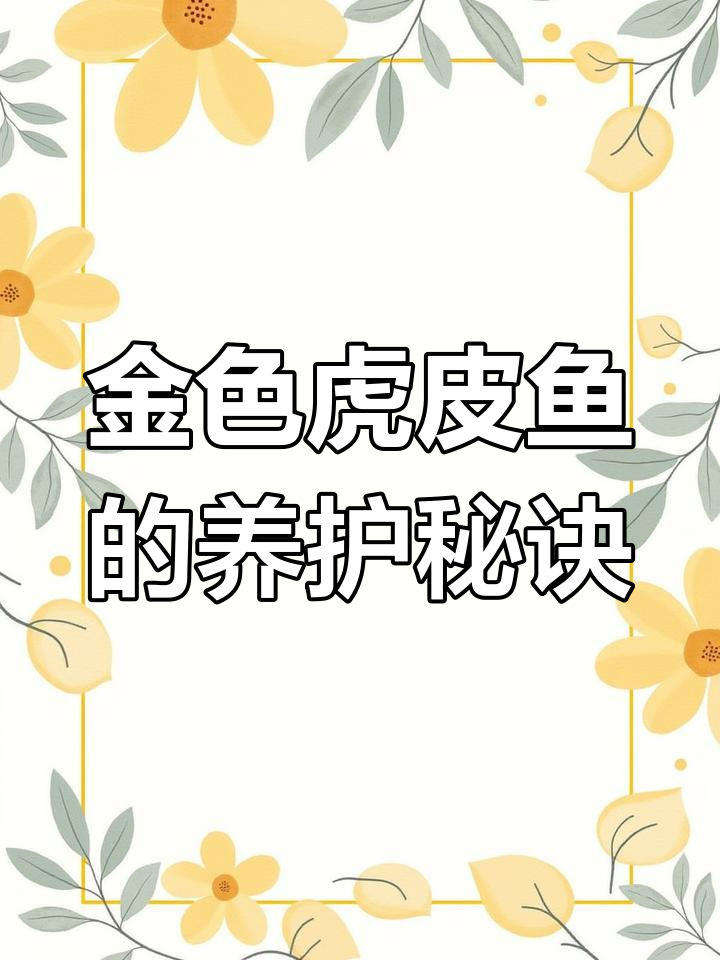 虎皮鱼:色彩斑斓的热带风情,适宜温度让它们更美丽