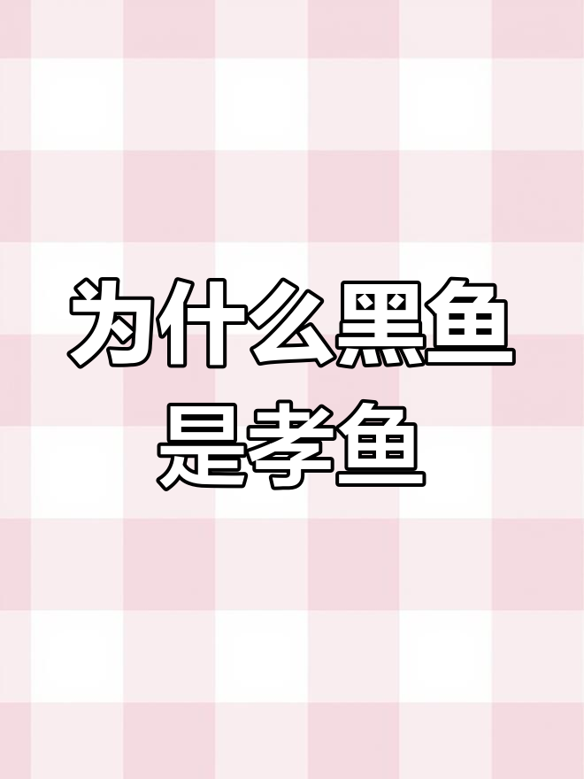 黑鱼为何被称为孝鱼?揭秘母子情深的故事