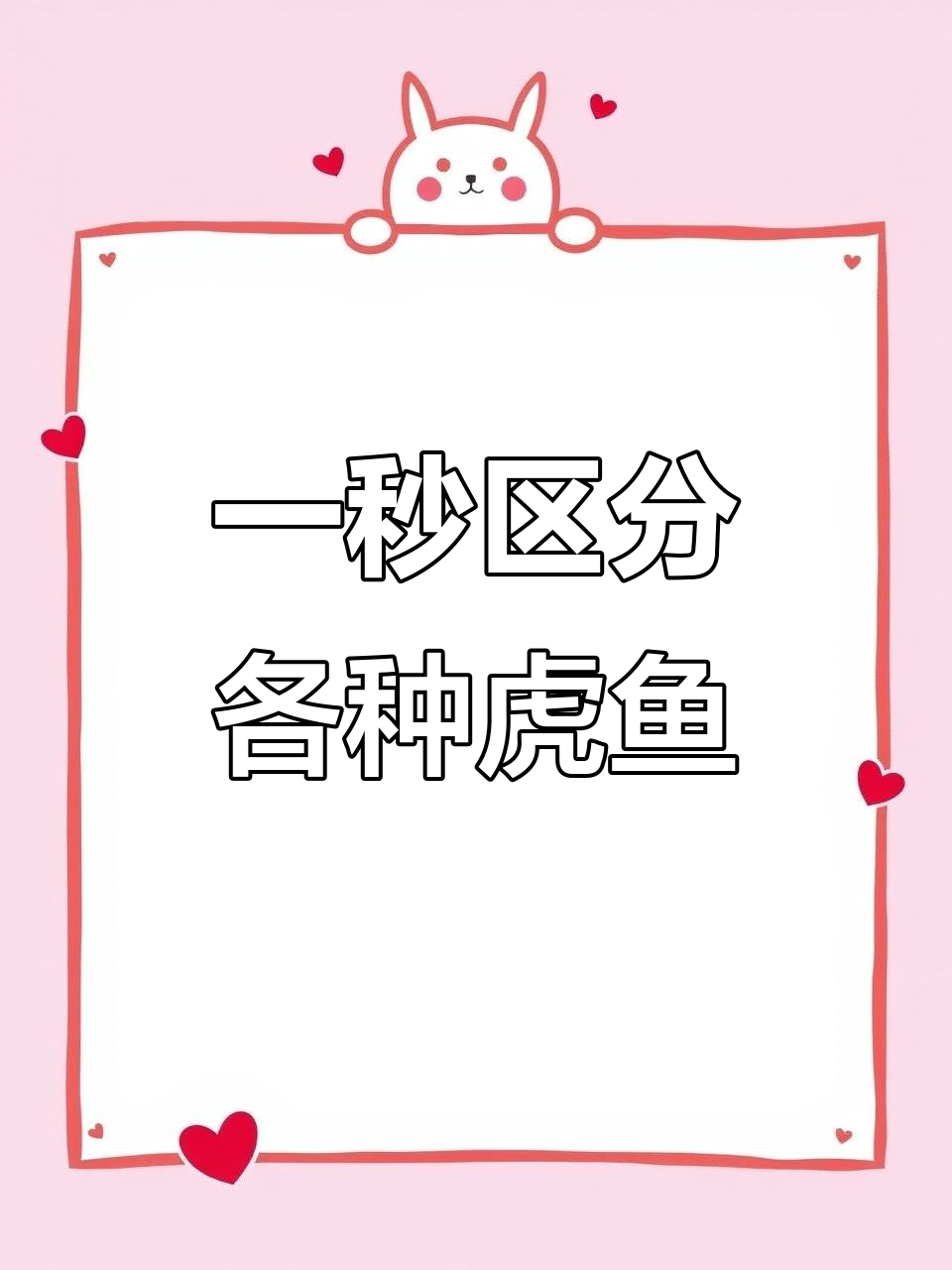 虎鱼品种大揭秘,新手必看!