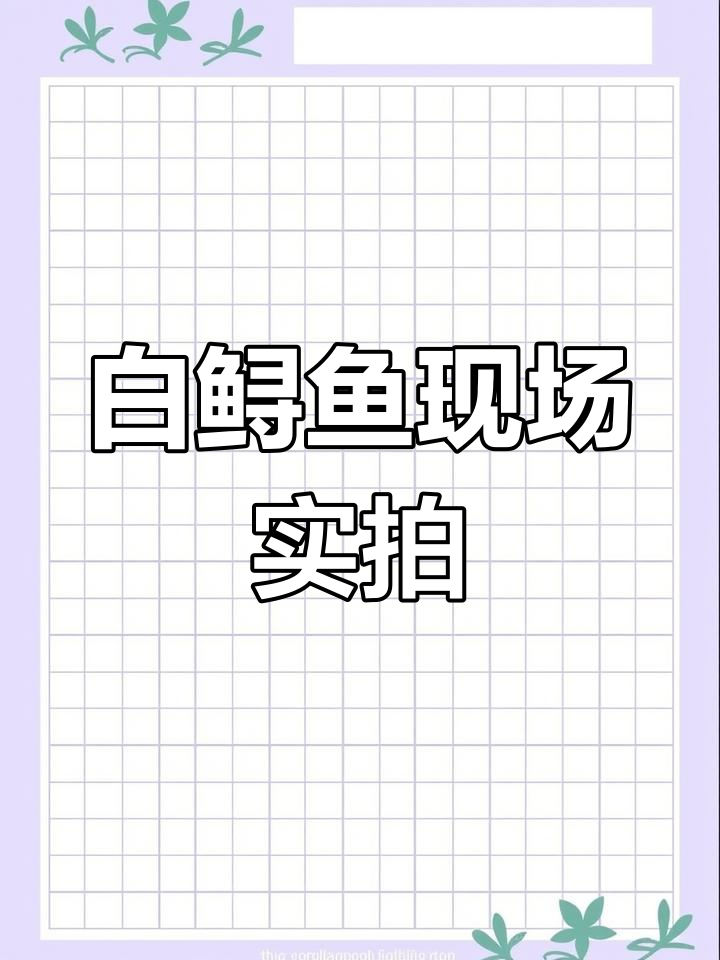 白色鲟鱼养殖揭秘