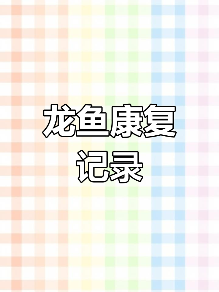 龙鱼疾病恢复过程:从浮背到立鳞