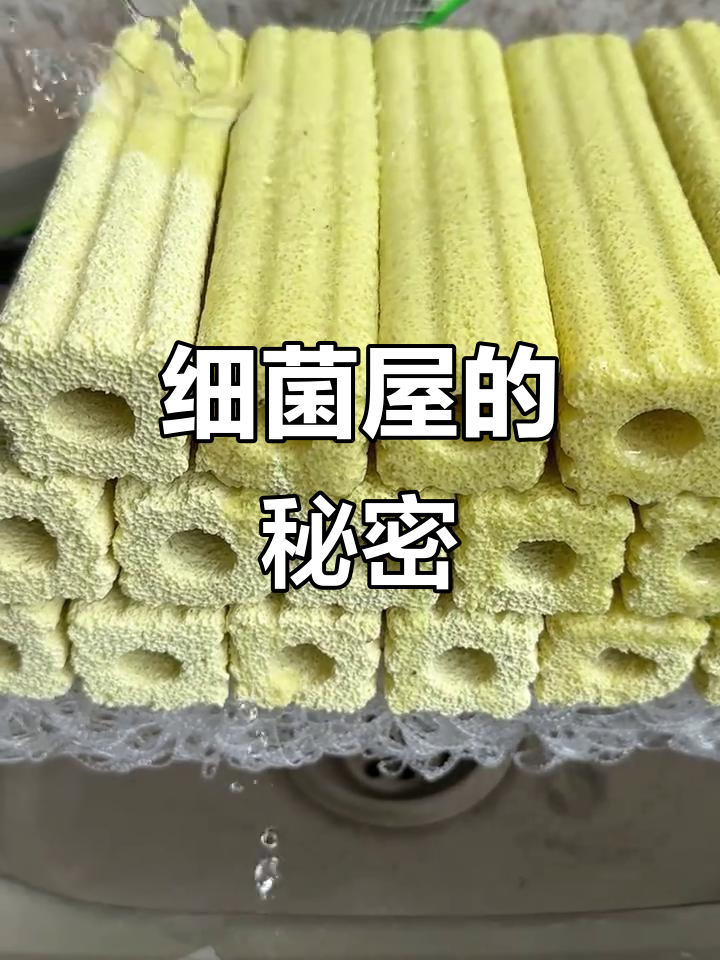 细菌屋真有那么神奇?便宜又实用,换滤材都不如它!