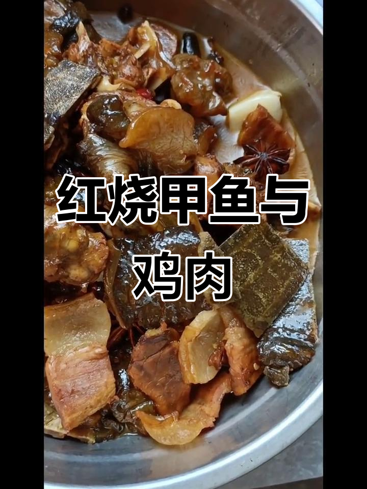甲鱼烧鲜肉,老公鸡红烧美味来袭