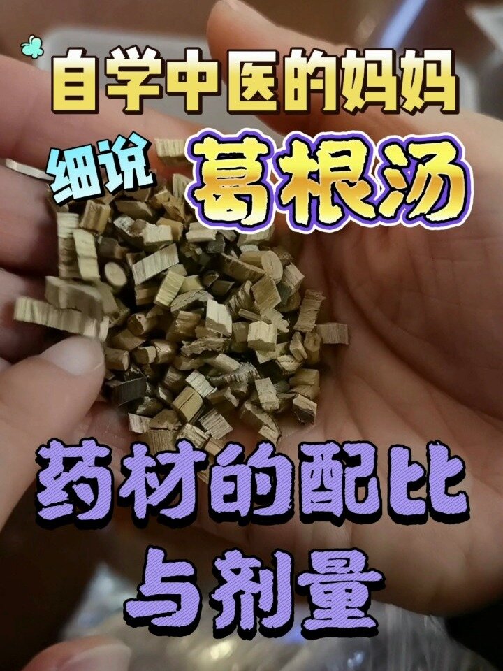 葛根汤的保姆式教程(二)