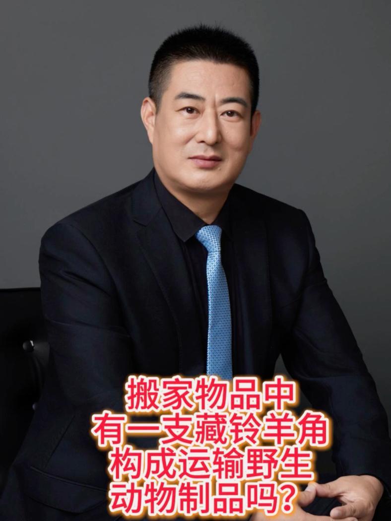 搬家过程中搬运一只藏羚羊角被判四年合理吗?刑事责任 北京刑事律师团队 京师律师事务所 刑事