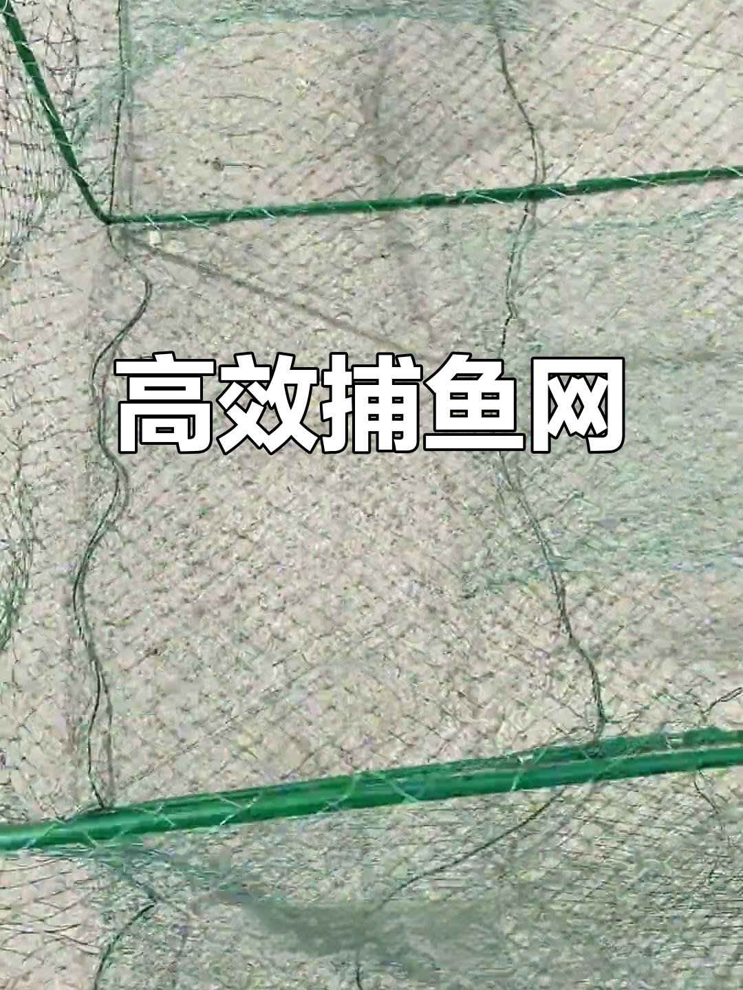 高效捕鱼笼,轻松捕捉鲶黄骨等鱼类