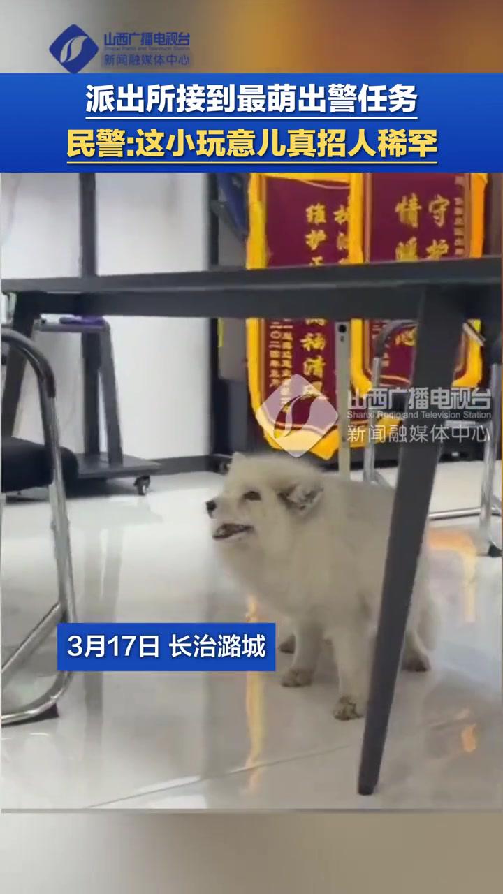派出所接到最萌出警任务民警:这小玩意儿真招人稀罕