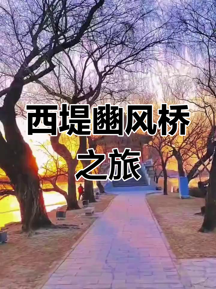 芹麻菜:苦苣菜的别名与药用功效