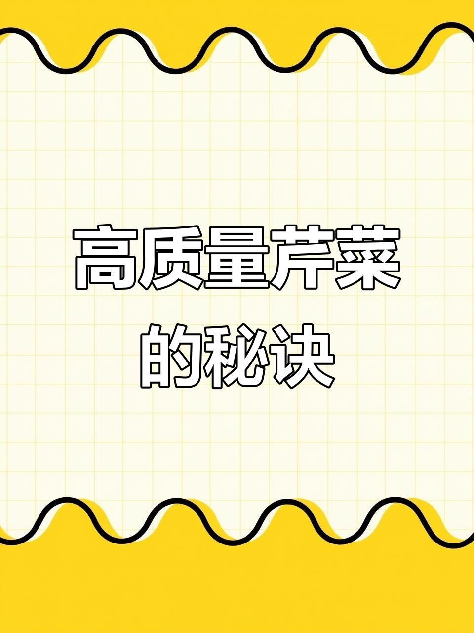 芹菜种植技巧大公开，提升品质的关键因素