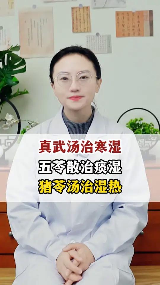 真武汤治寒湿、五苓散治痰湿、猪苓汤治湿热