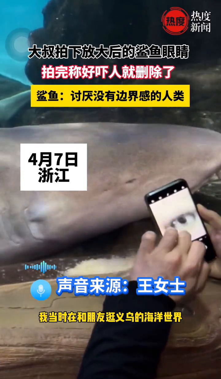 大叔拍下放大后的鲨鱼眼睛,拍完称好吓人就删除了