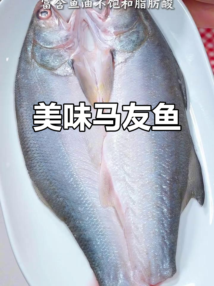 马友鱼鲜美无比,肉质细腻刺少,清蒸或煎皆宜
