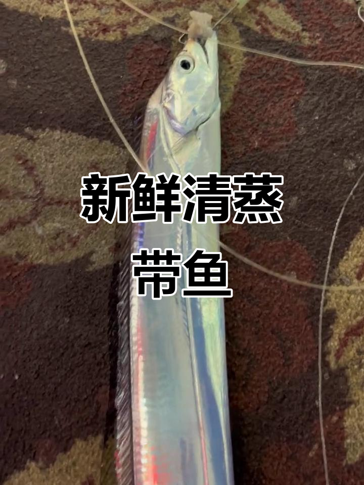 清蒸带鱼,鲜嫩无比,入口即化!