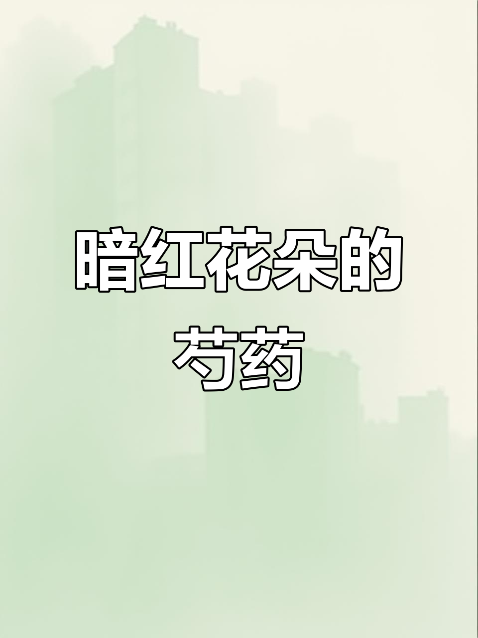 西班牙进口芍药,暗红重瓣大花惊艳登场