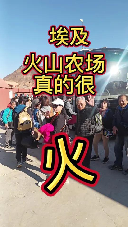 埃及火山农场真的很火 家人们,欢迎来到我的火山农场!看到大家在这儿玩得开心,我打心底里高兴