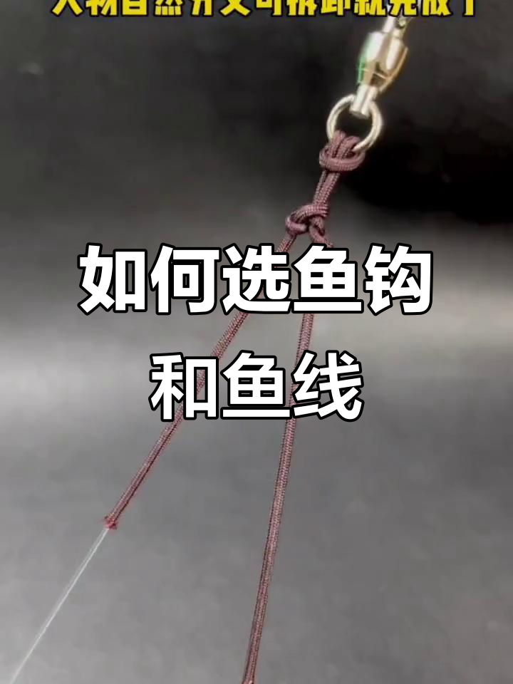钓鱼必备:鱼钩与鱼线选择技巧
