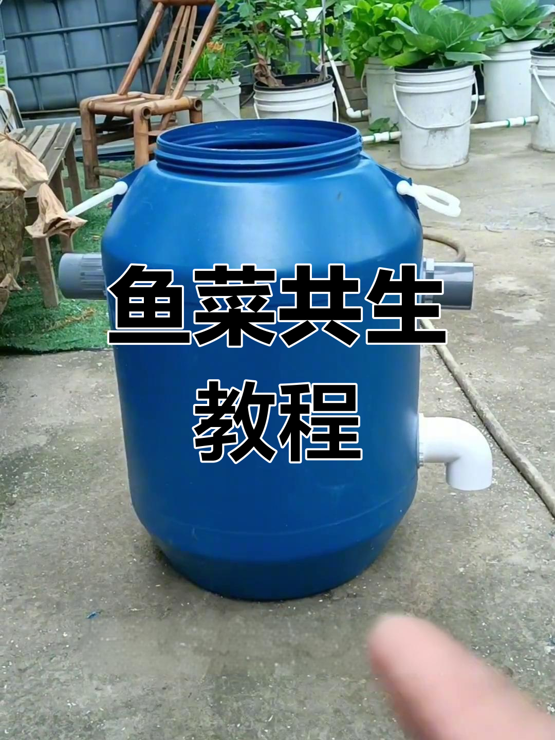 家庭鱼菜共生,沉淀桶制作全解析!