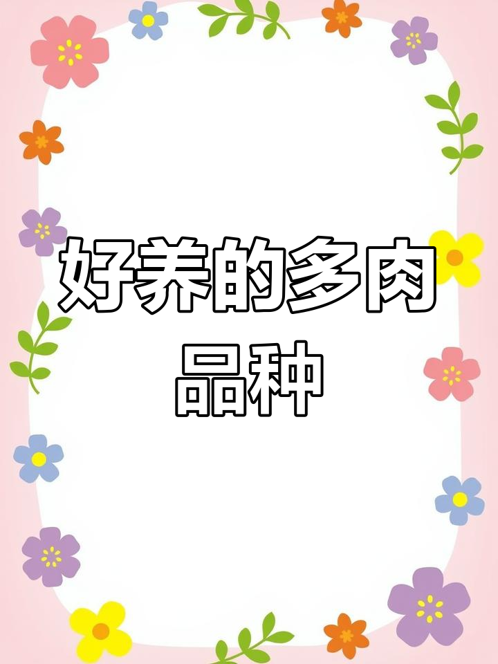 皮实好养的多肉,紫乐与马库斯推荐给新手