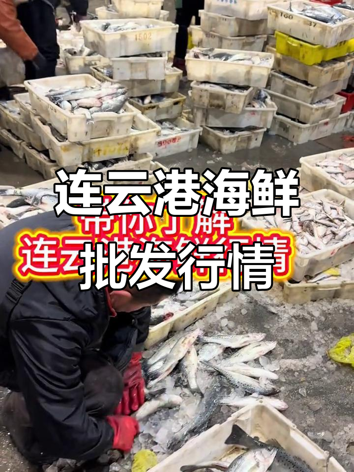 2月3日江苏连云港海鲜市场:红贝黄鱼等热销价揭秘