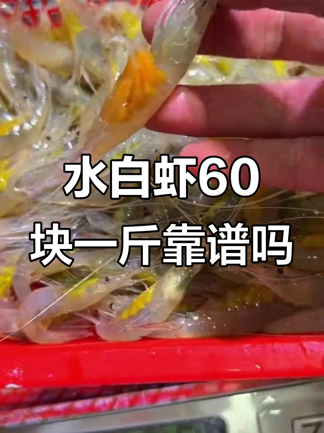 野生水白虾60元一斤,真值不值?