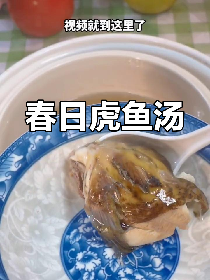 春季虎鱼鲜美,炖汤老少皆宜,滋补又美味