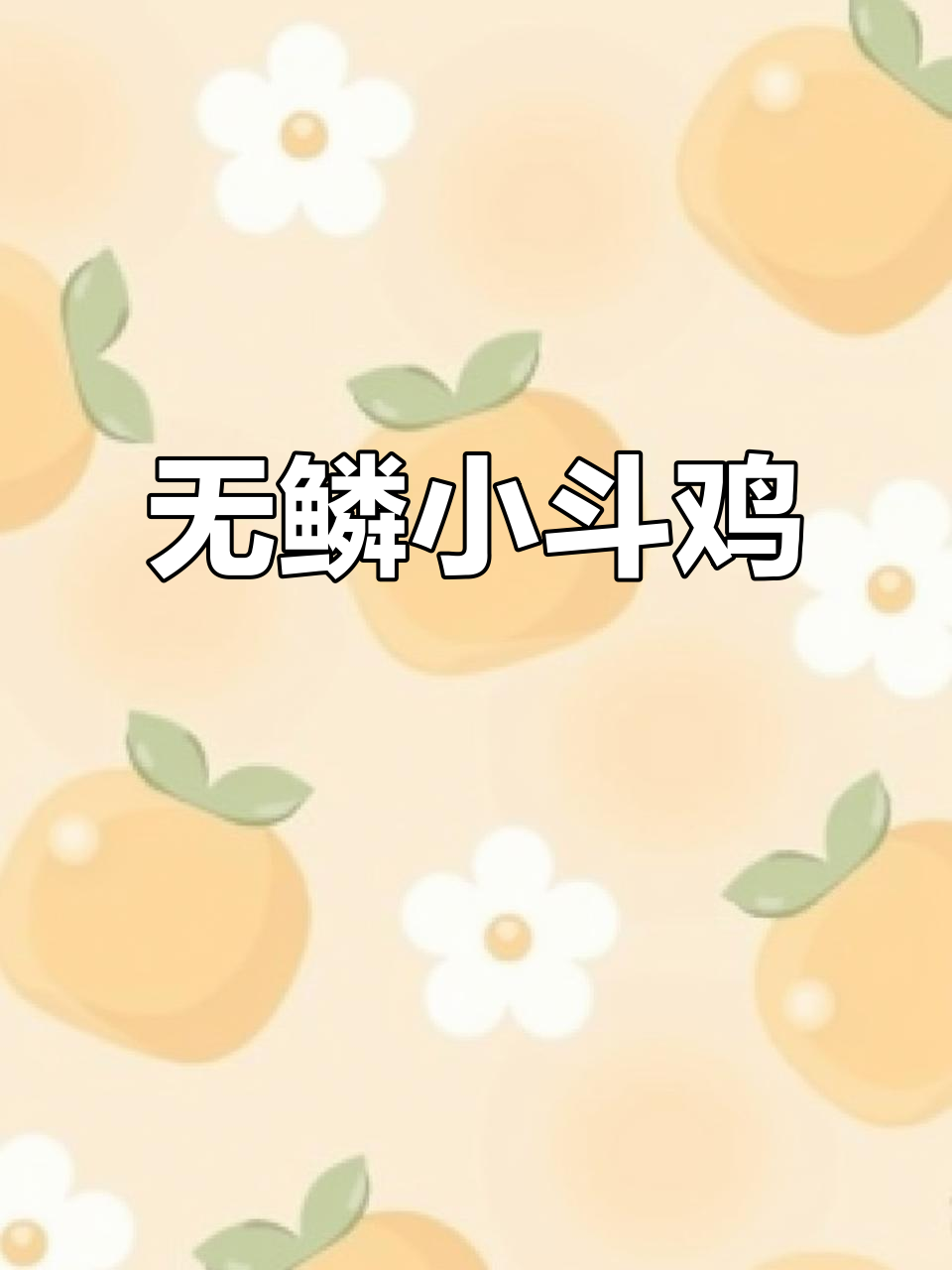 瓦灰色小斗鸡,无鳞纹萌态十足