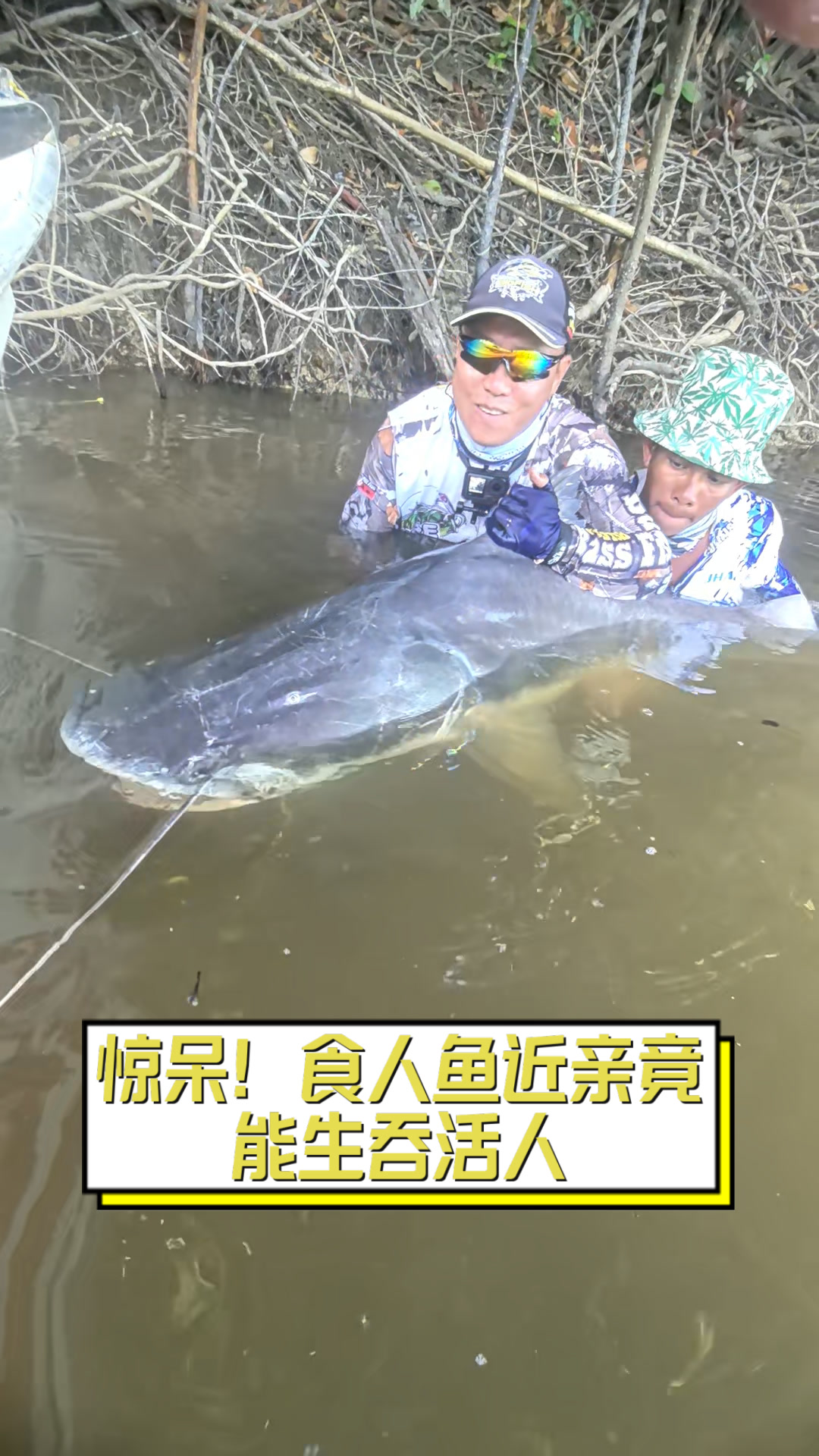 惊呆!食人鱼近亲竟能生吞活人