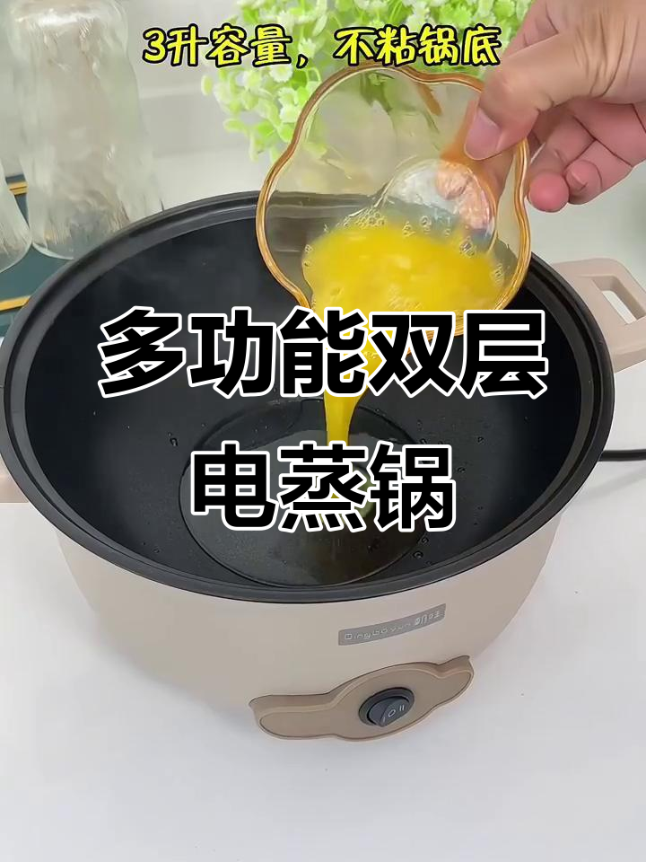双层电蒸煮锅,厨房神器,实用又方便