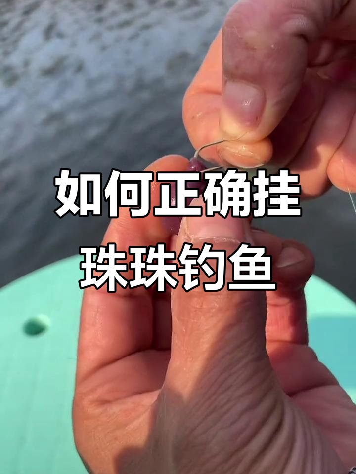 挂珠珠钓青鱼技巧大揭秘,轻松掌握甩钩方法