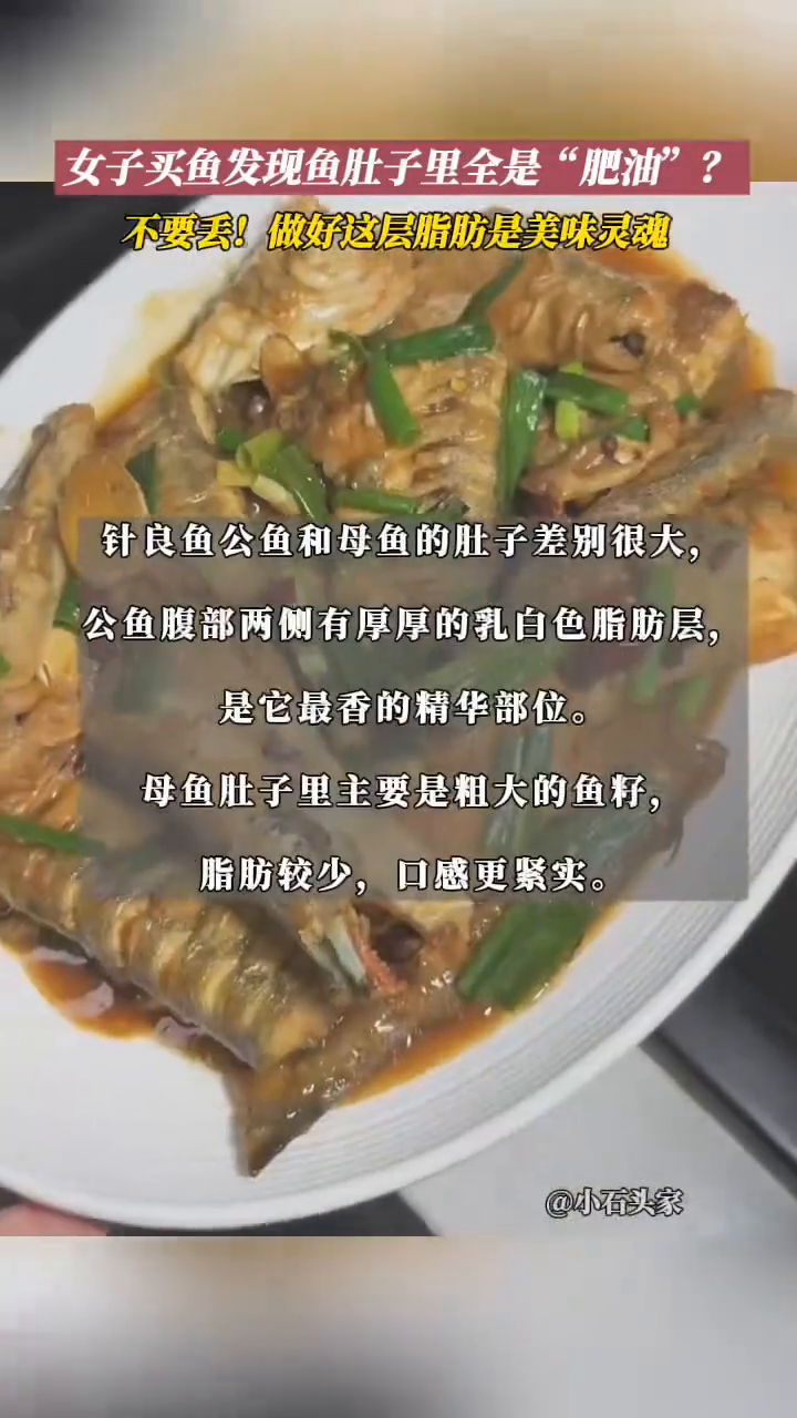 针良鱼腹部裹了一层“肥油”?别扔!很有营养价值