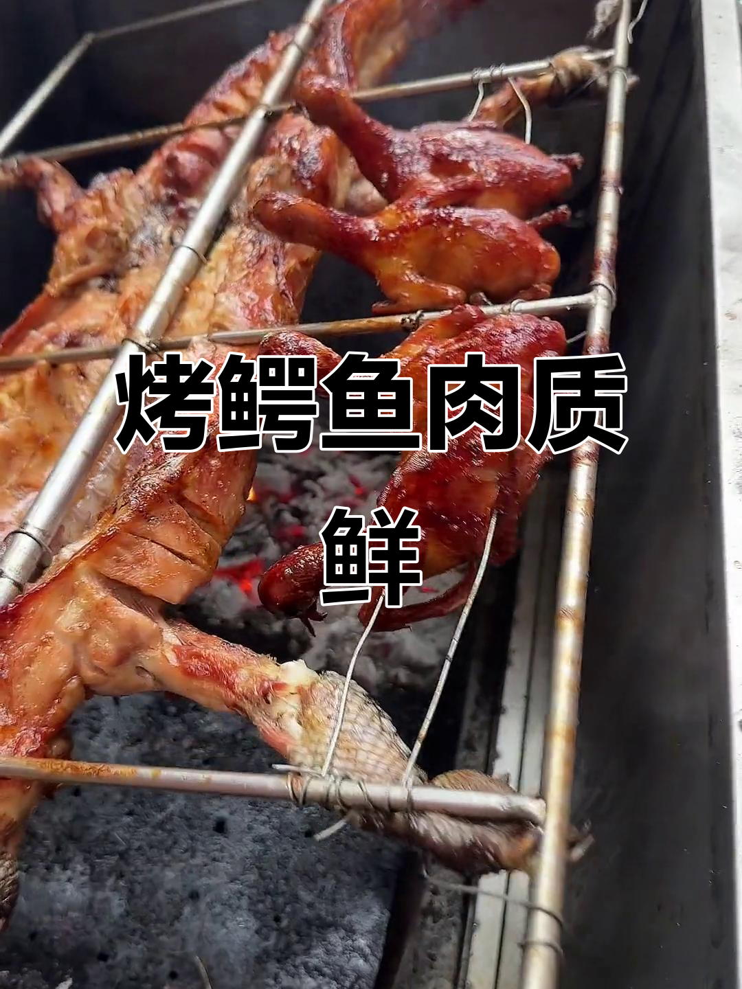 炭火烤鳄鱼,肉质鲜美无比!