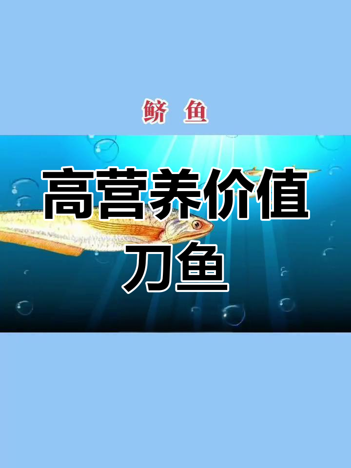 鲫鱼:黄渤海与东海的鲜美之选