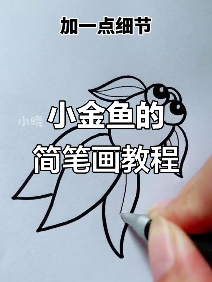 轻松画出可爱小金鱼,零基础也能学会
