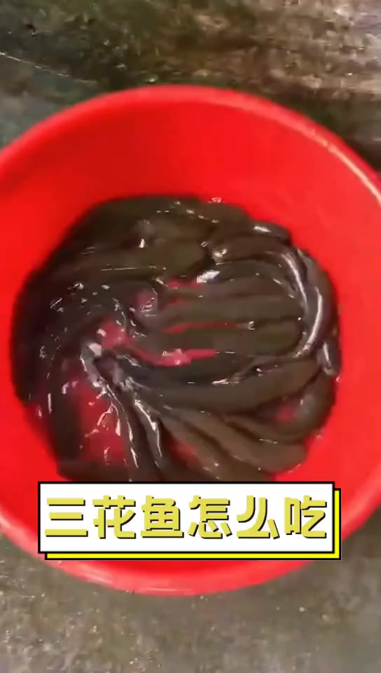 三花鱼怎么吃