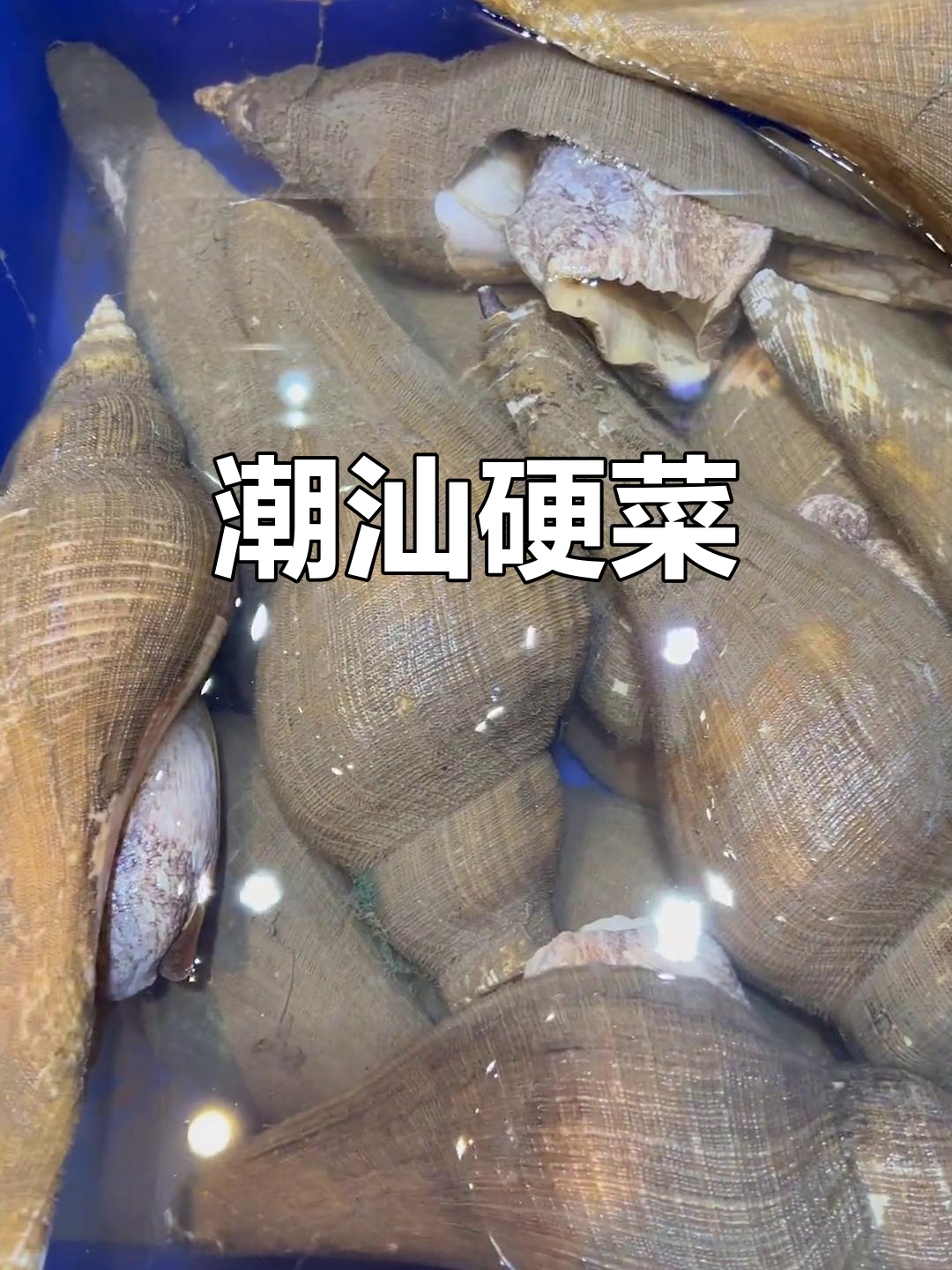 炭烧响螺,潮汕经典美味,珍贵而独特