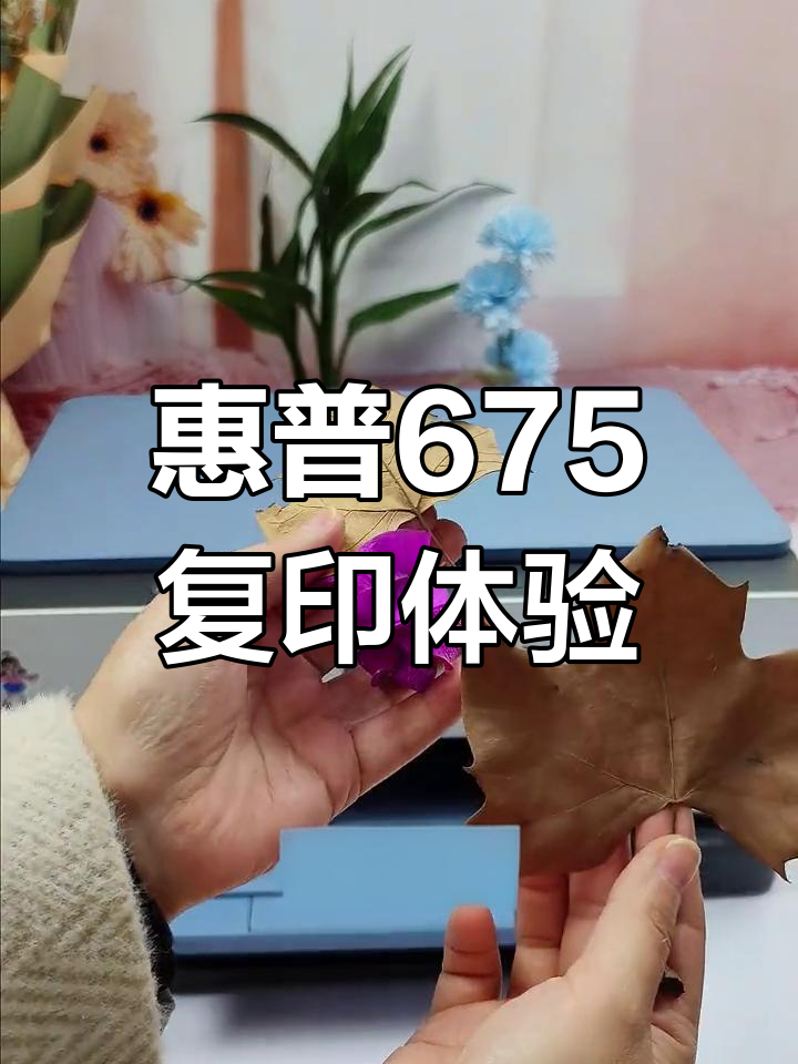 惠普675复印效果大揭秘,轻松搞定各种需求