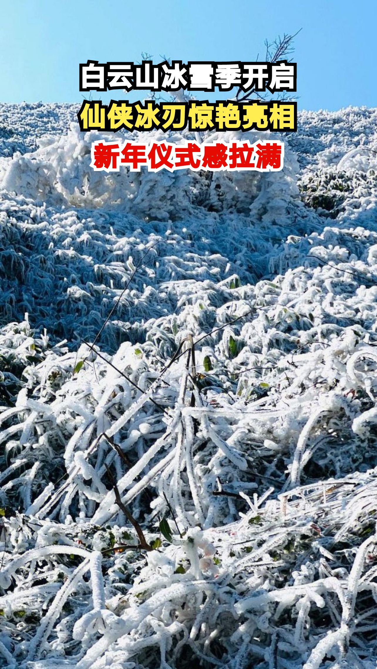 白云山惊现仙侠同款冰刃!零成本get冰雪奇缘,新年仪式感爆棚