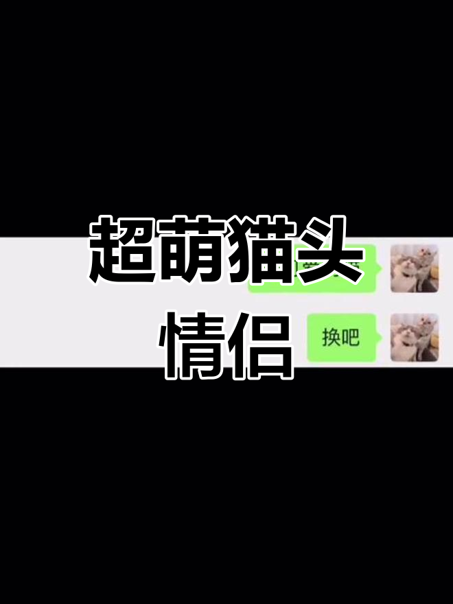 可爱猫咪情侣头像