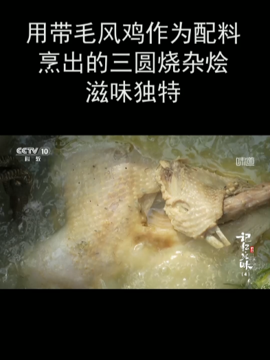 用带毛风鸡作为配料烹出的三圆烧杂烩 滋味独特