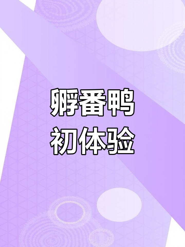 第一次孵化番鸭,35天终于破壳,与小鸡差异明显