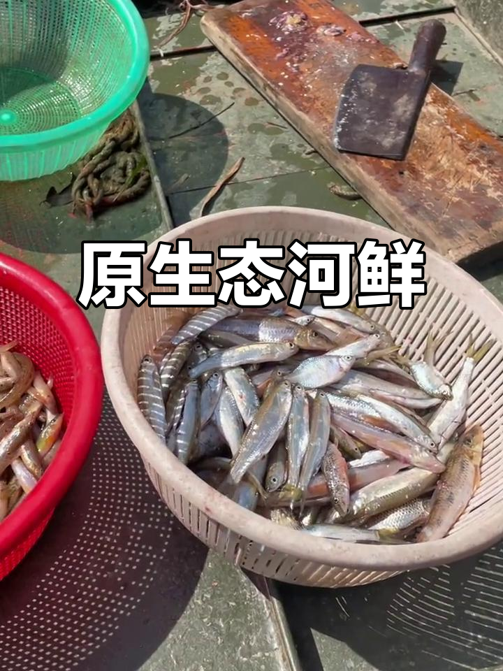 野养河鱼仔,原生态美味,溪石斑的独特魅力