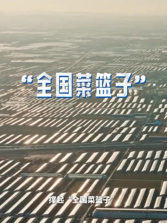 山东寿光菜博会太震撼了,各种奇珍蔬菜大开眼界。#寿光菜博会