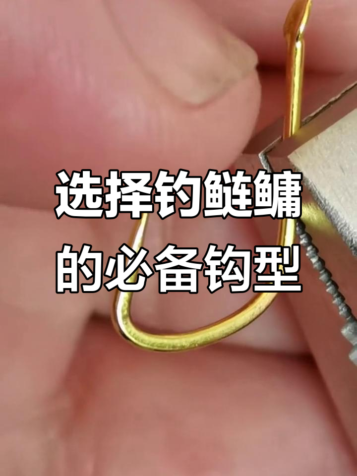 钓鲢鳙选钩技巧，牢记这三点轻松上鱼