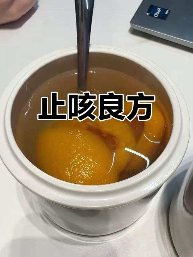 咳嗽难愈?川贝枇杷汤,甜咸皆宜,润肺又养生!