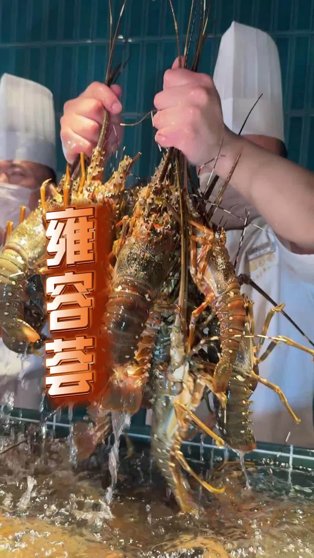 万象城的雍容荟,哪些比较贵 海鲜自助 波士顿龙虾 雍容荟海鲜自助 心动打卡指南 海鲜