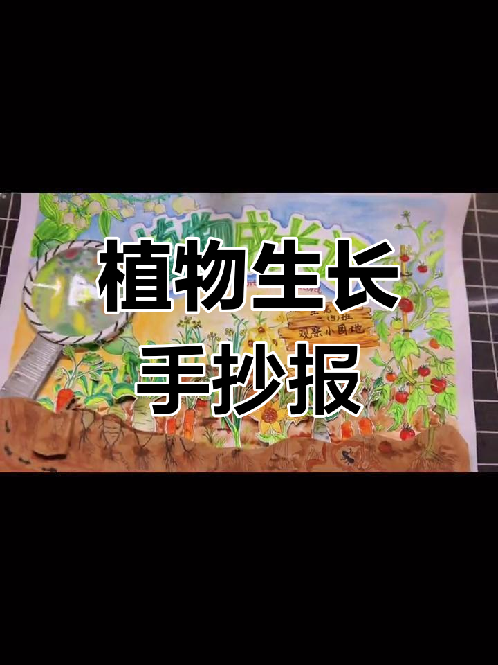 种子发芽生长过程立体画