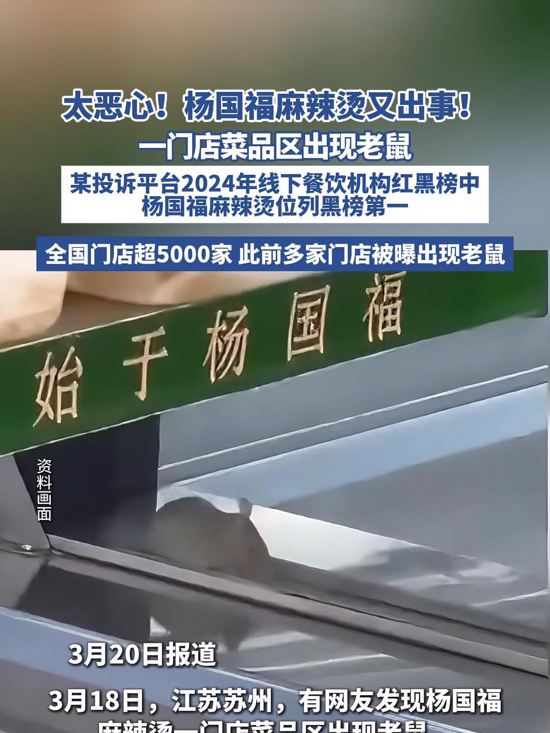 太恶心!杨国福麻辣烫又出事!(极目新闻)麻辣烫 食品安全 餐饮 杨国福麻辣烫